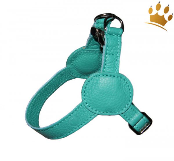 Malucchi Hundegeschirr Movie Türkis