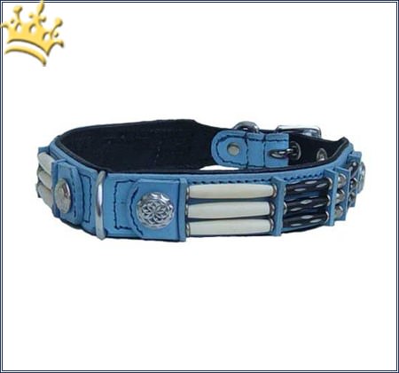 Hundehalsband Blue Eagle 25mm