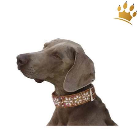 Halsband Flower Caramel