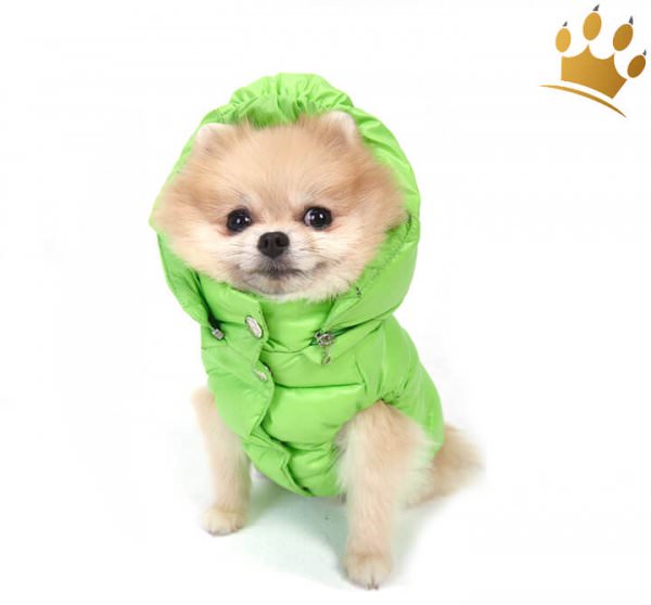 Puppyangel-Hundemantel-Love-Faux-Knallgruen
