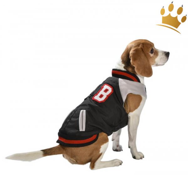 Hundemantel College Tyler Schwarz