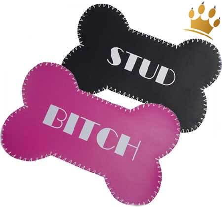 Bitch oder Stud Unterlagen