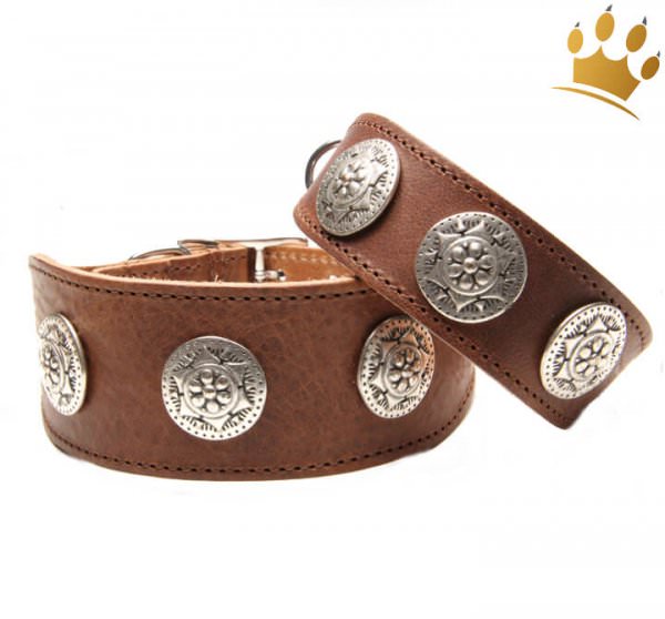 Hundehalsband Greyhound Pigall Braun