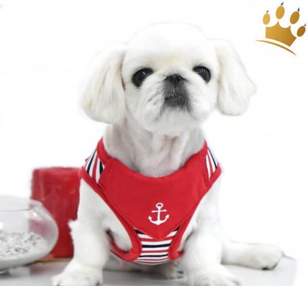 Puppia Step In Hundegeschirr Seaman Rot