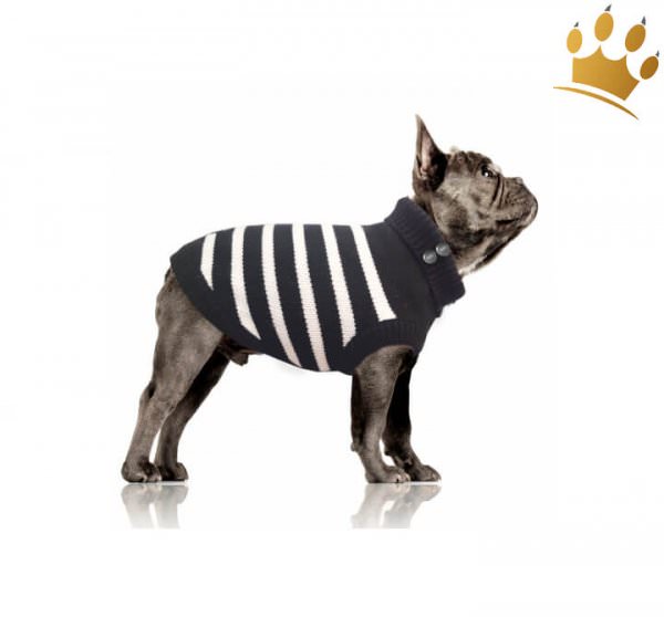 Milk & Pepper Gwendal Mops/Bully Hundepullover