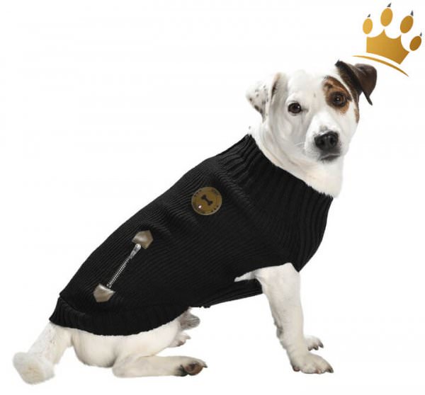 Hundepullover Chester Schwarz