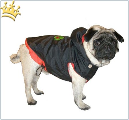 Hundemantel Lucky Dog
