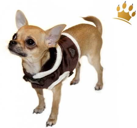 Step-In Hundegeschirr Little Darling Schoko