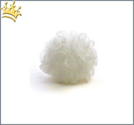 Bath Sponge