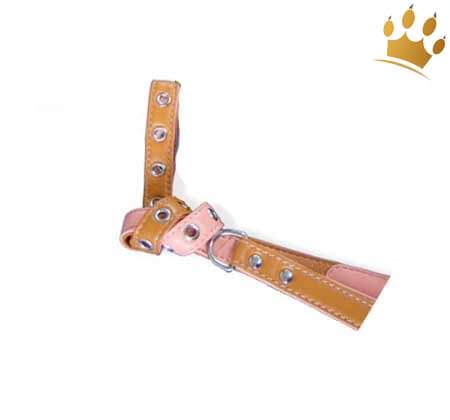 Hundeleine Pup-PuP TM Peach/Milk Chocolate