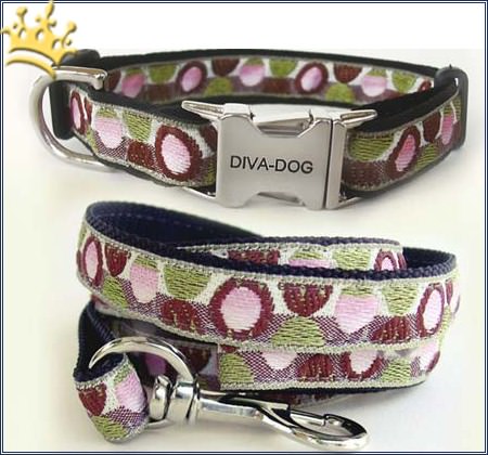 Halsband und Leinen Set Picadilly