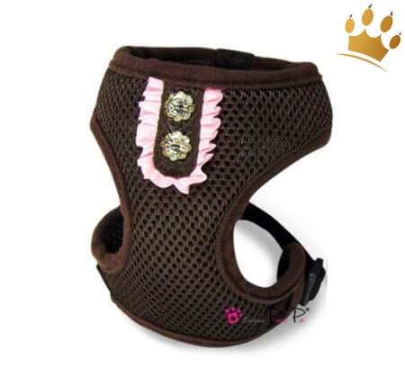 Hundegeschirrset 4 in 1 Rokoko Coffee