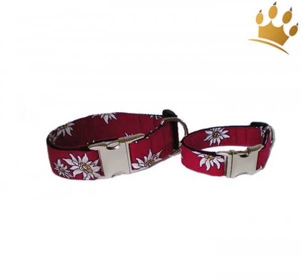 Hundehalsband Edelweiß Rot