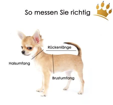 Jack-B Hundegeschirr Lila Dots