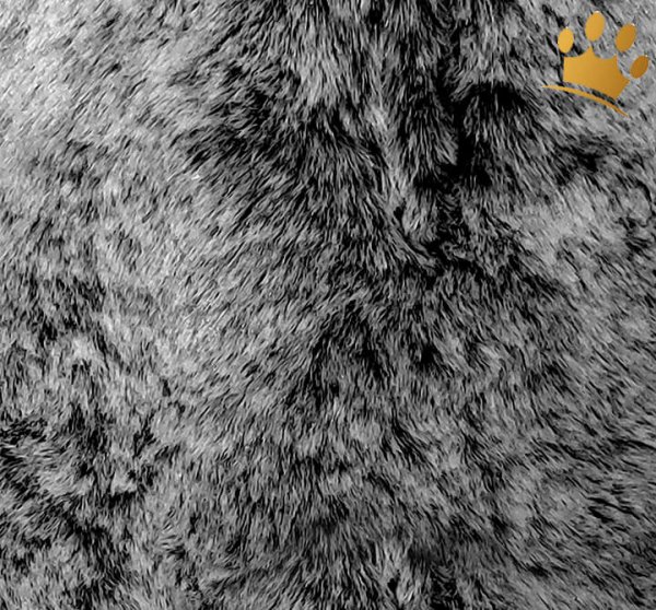 Milk & Pepper Hundetasche Nanouk Kaki