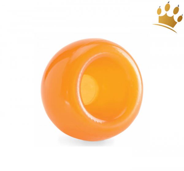 Planet Dog Snoop Orange Gross