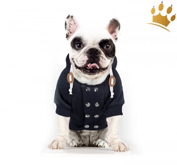 Milk & Pepper Hundesweater Rookie