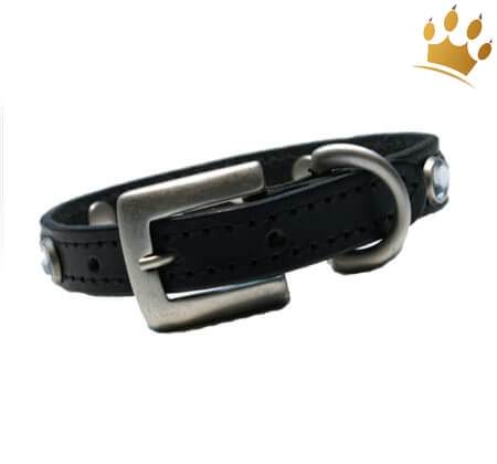 Hundehalsband Diamonds Black
