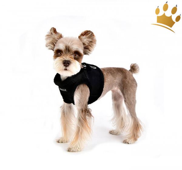 Puppia Step In Hundegeschirr Terry Schwarz Hund