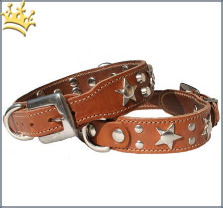 Hundehalsband Big Star Cognac