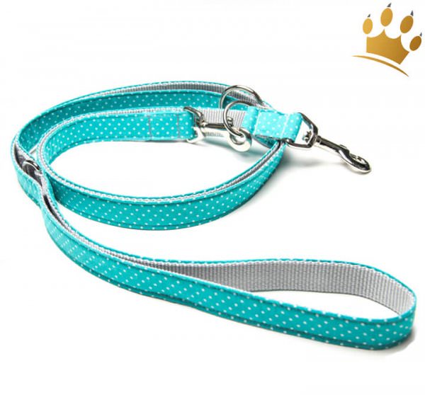 Hundeleine Little Dotty Türkis