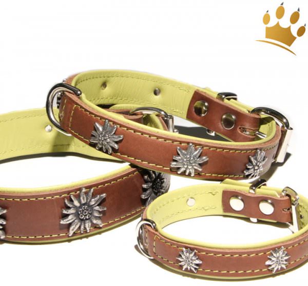 Hundehalsband Edelweiß Tirol Braun/Pistazie