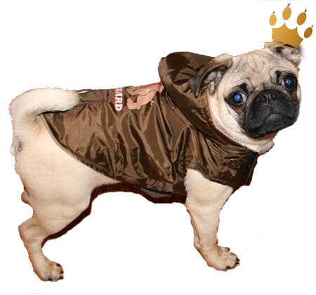 Hundemantel Bodyguard Deluxe