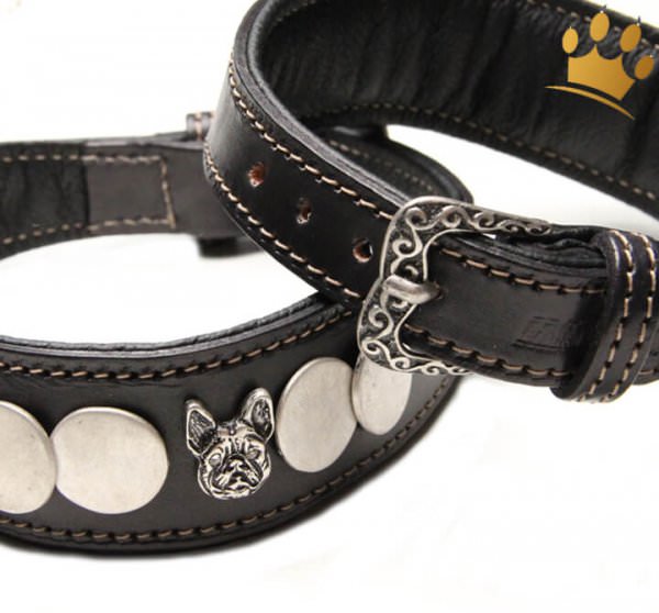 Malucchi Hundehalsband Ratier Bulldogge Schnalle