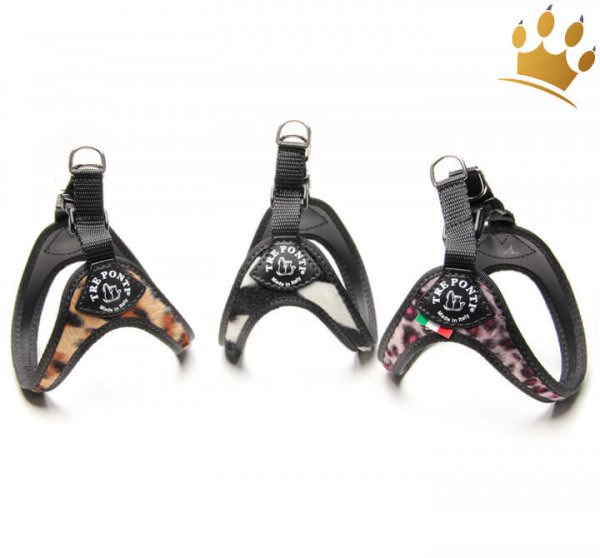 Tre Ponti Hundegeschirr Afrika alle