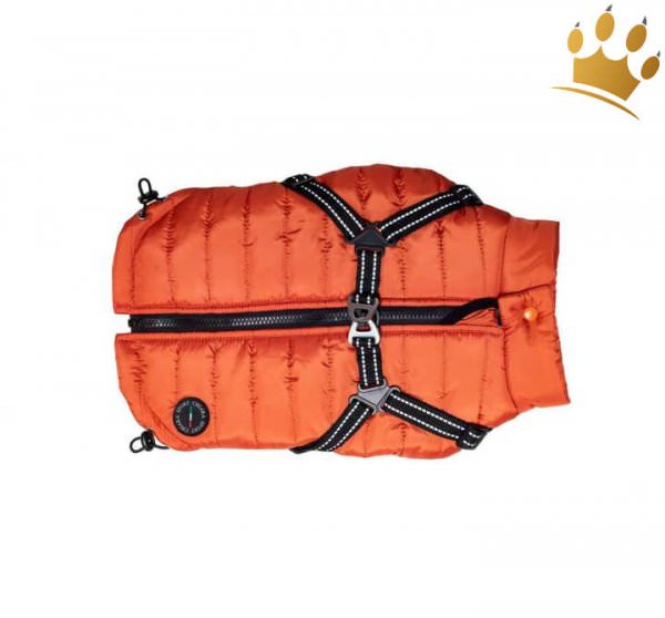 Hundemantel mit Geschirr Nikitita Orange