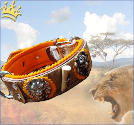 Hundehalsband African Lionhunter