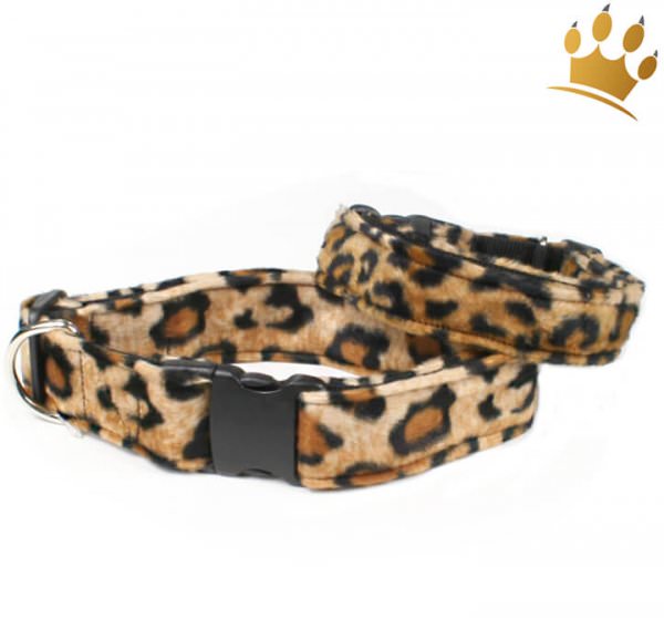 Fellhalsband Leopard