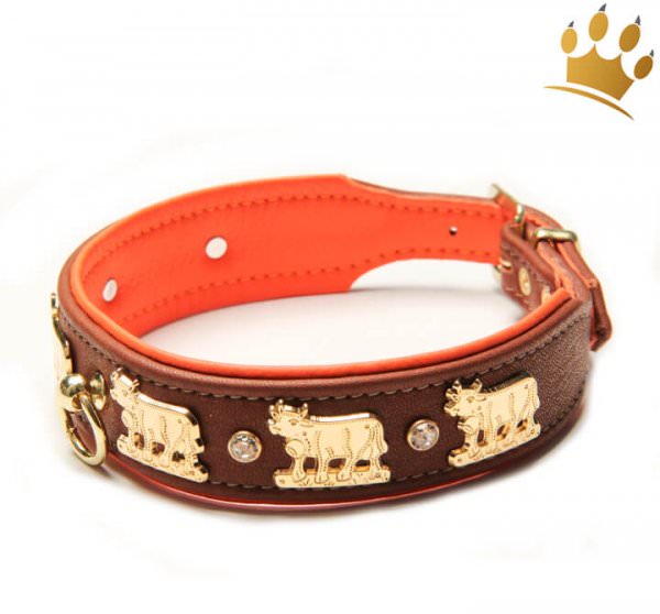 Hundehalsband Lucky-Muh Orange