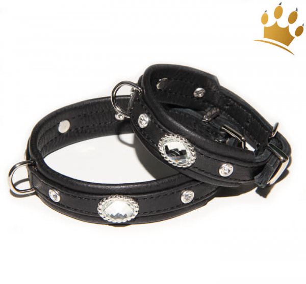 Hundehalsband Black Clear Thunder Petit