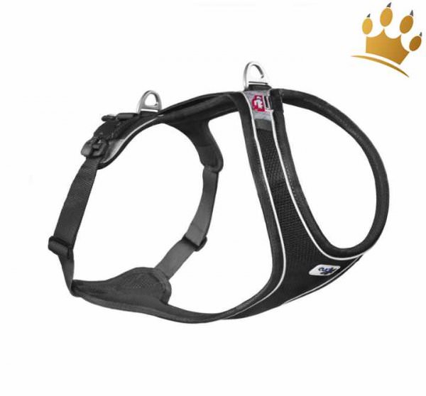 Curli Magnetic Belka Comfort Schwarz