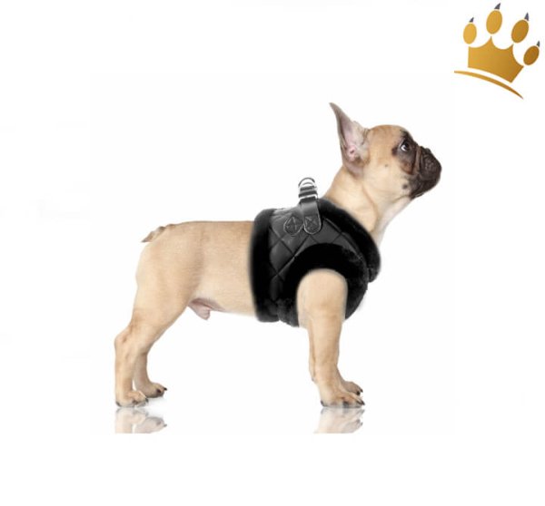 Milk & Pepper Jake Step In Hundegeschirr