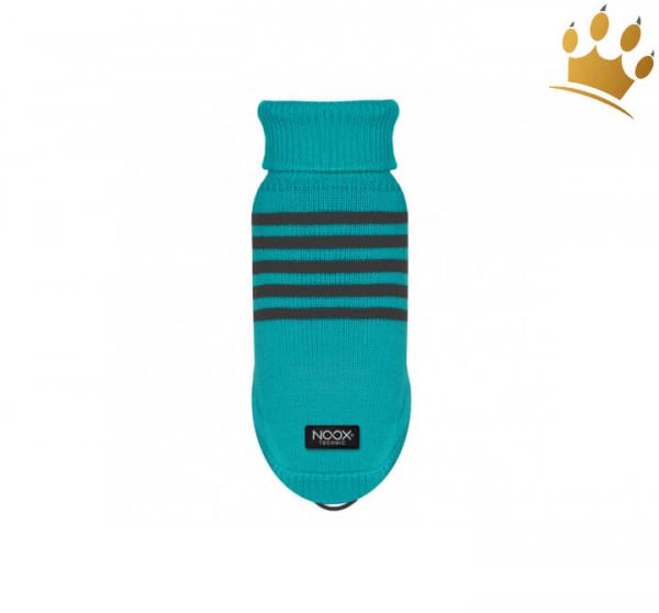 Noox Hundepullover Discovery Türkis