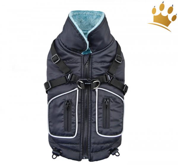 Puppia Hundemantel Pioneer Blau