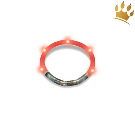 Hundeleuchtring Rot