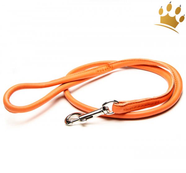 Hundelederleine Fresh Colour Rundgenäht 100cm