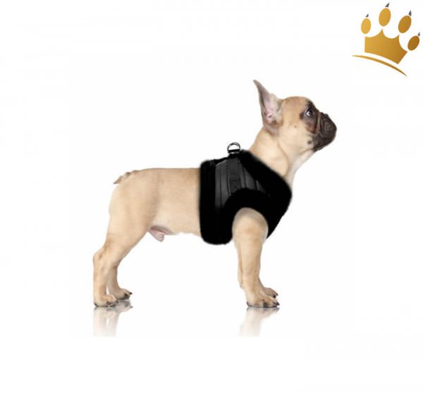 Milk & Pepper Kurt Bully/Mops Step In Hundegeschirr