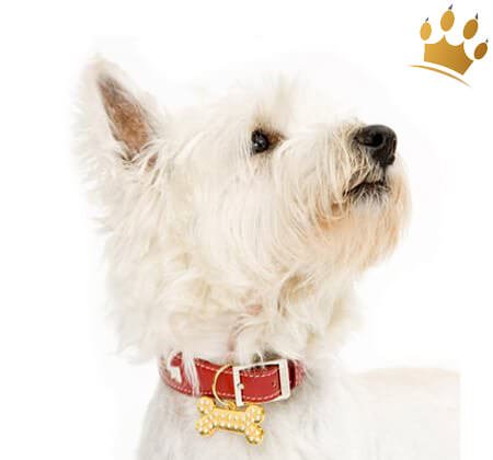 Bone Bling Anhänger Big