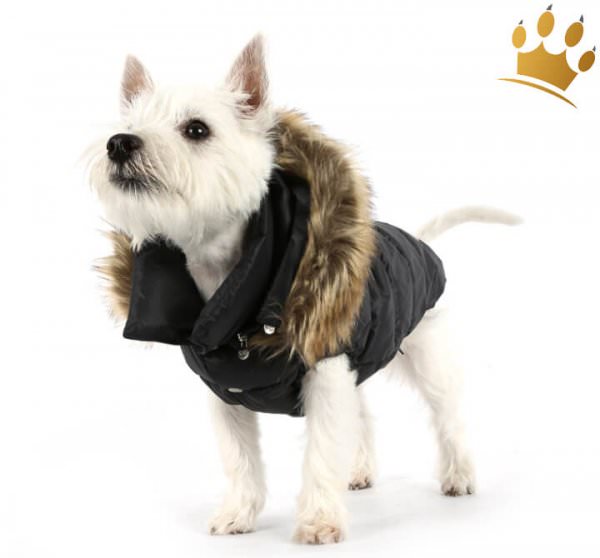 Puppyangel Hundemantel Down Hood Schwarz