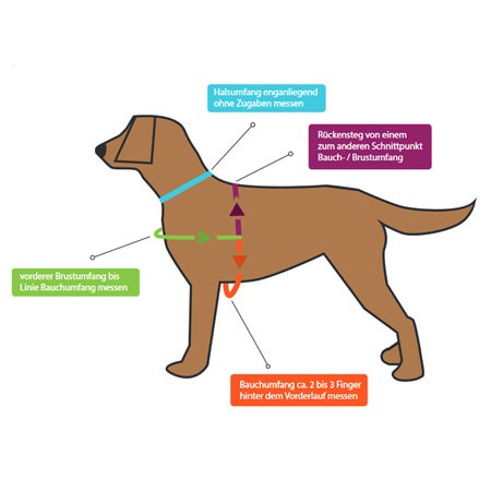 Groessenvorlage Hundegeschirr