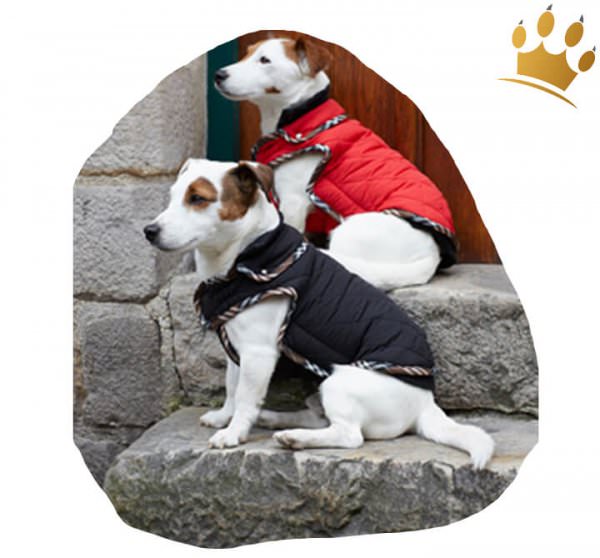 Hundemantel Tartan Classic Schwarz Detail