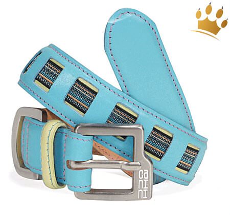 Hundehalsband Canini® Speedster Blau