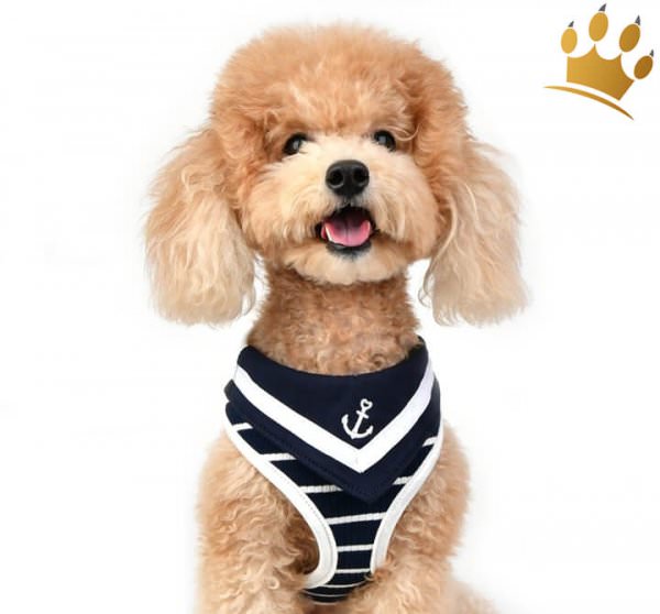 Softgeschirr Cordelia Blue Hund