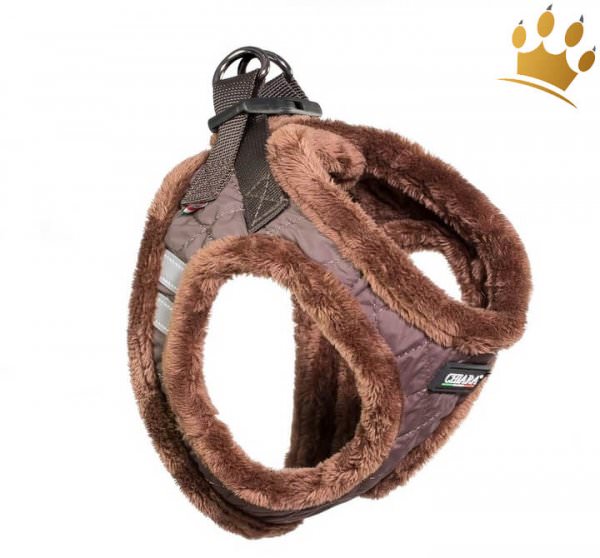 Step In Hundegeschirr Chiara Diamond braun
