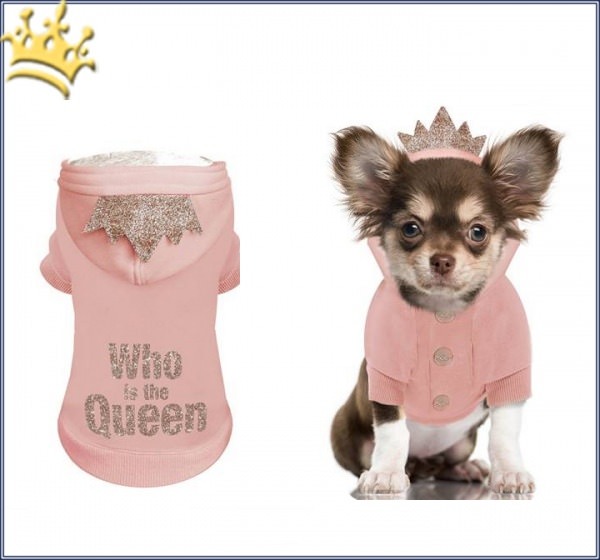 Milk & Pepper Hundesweater Alix Who is the Queen