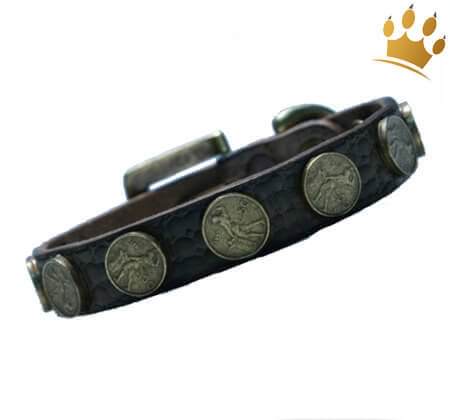 Hundehalsband Moneymaker Braun